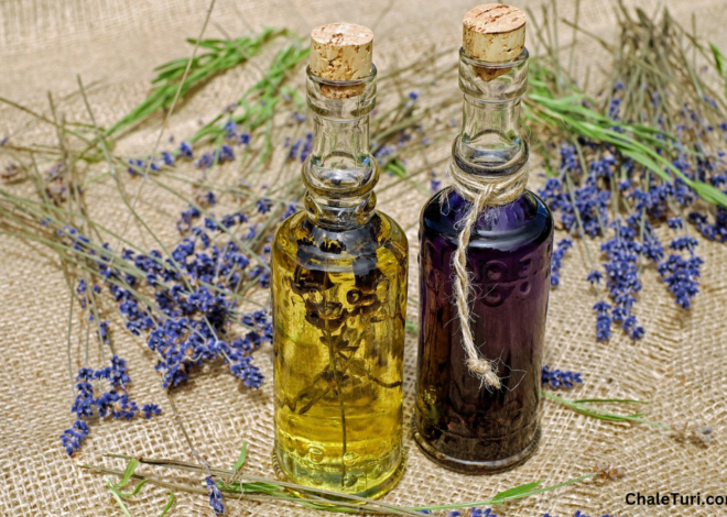 Essential Oils in Deodorants: A Boost for Your Lymphatic System?