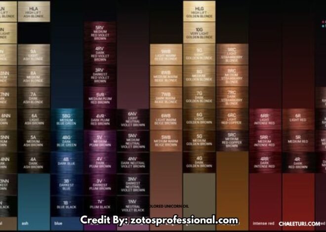 Complete Age Beautiful Hair Color Chart for Stunning Styles