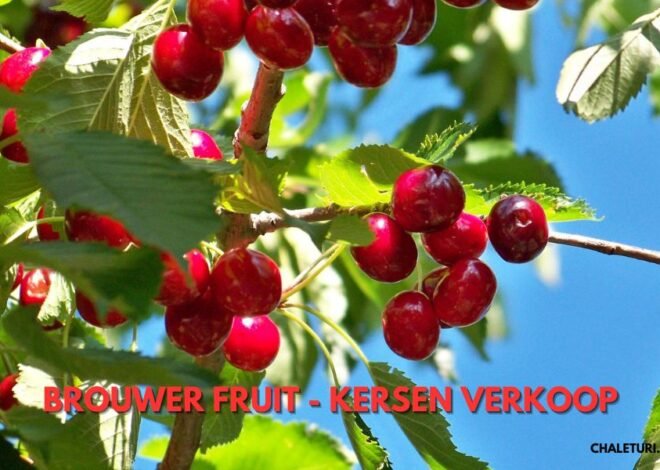 Brouwer Fruit – Kersen Verkoop: Pure Cherry Bliss